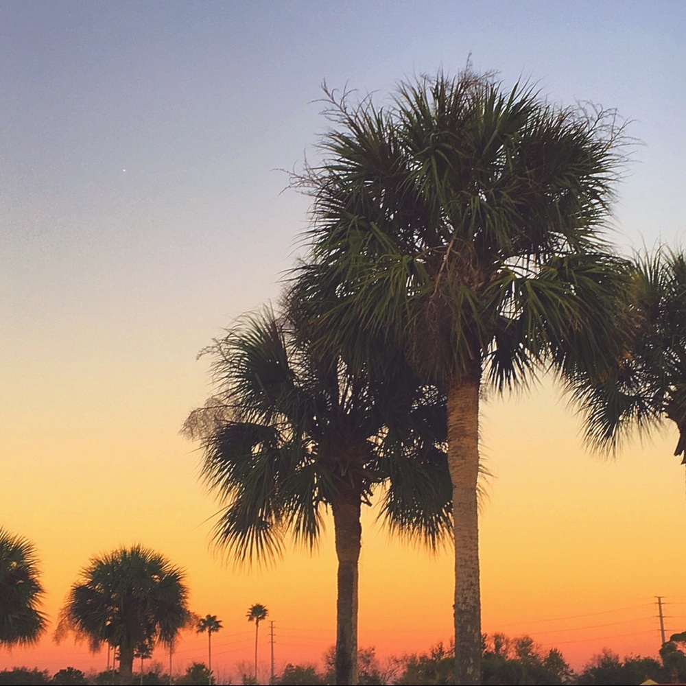 Meet your Posher, Siera